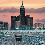 كيان ترافيل